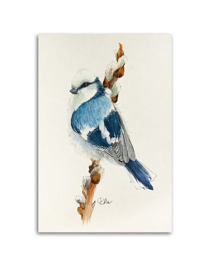 Canvas prints on canvas Small blue bird Dorota Martyńska | FEEBY