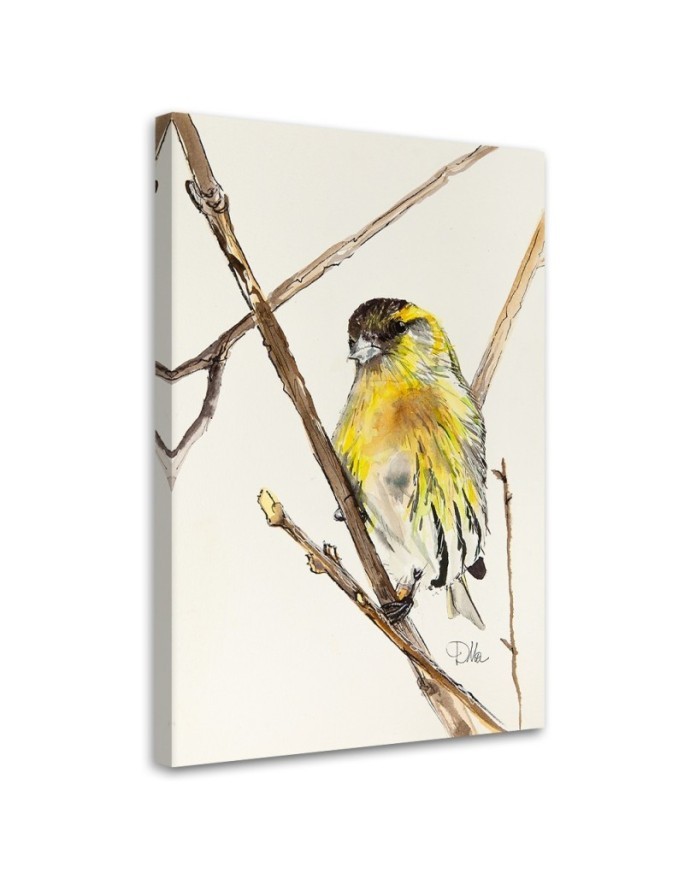 Canvas prints on canvas Yellow curious bird Dorota Martyńska | FEEBY