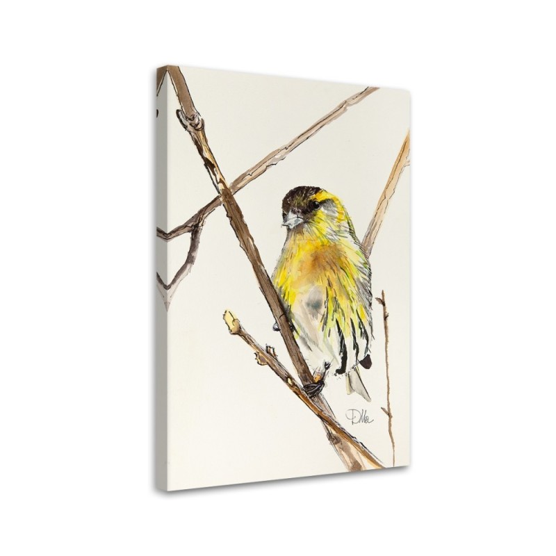 Canvas prints on canvas Yellow curious bird Dorota Martyńska | FEEBY