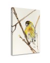Canvas prints on canvas Yellow curious bird Dorota Martyńska | FEEBY