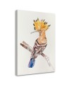 Modern Canvas painting for the bedroom - Hoopoe on a branch | FEEBY