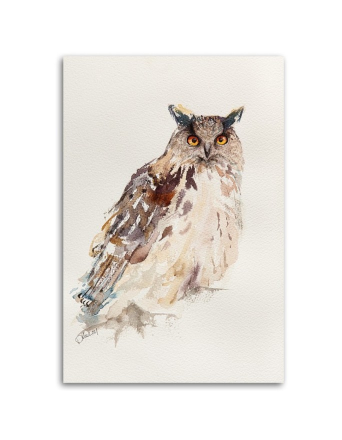 Sight of an owl Dorota Martyńska - Canvas painting for the living room | FEEBY