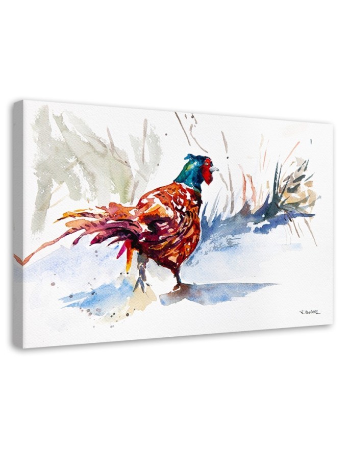 Canvas painting - Colourful rooster - Watercolour | FEEBY