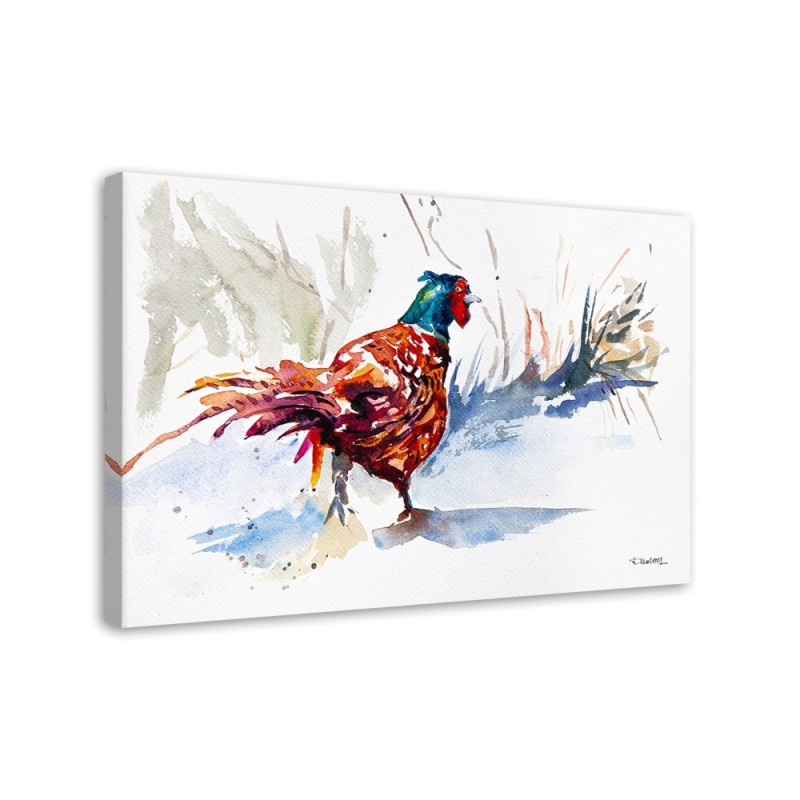 Canvas painting - Colourful rooster - Watercolour | FEEBY