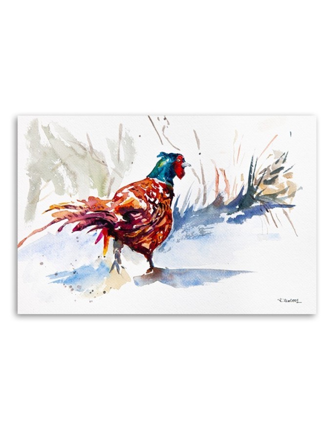 Canvas painting - Colourful rooster - Watercolour | FEEBY
