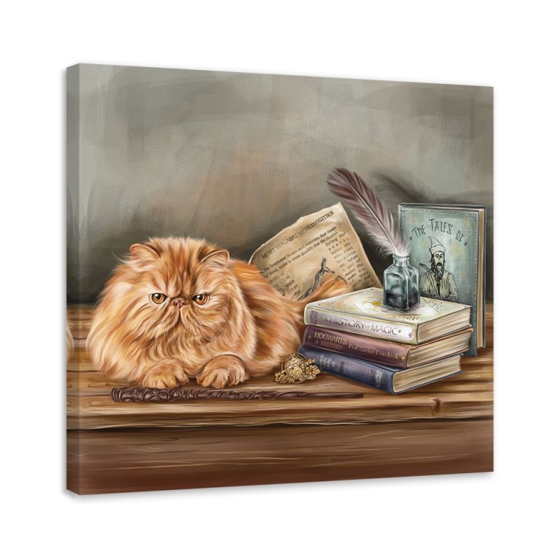 Magic cat - wall art decoration for children's room | FEEBY