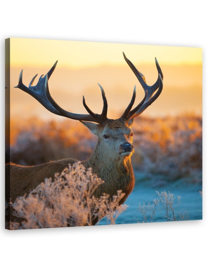 Canvas painting Deer sunrise | FEEBY