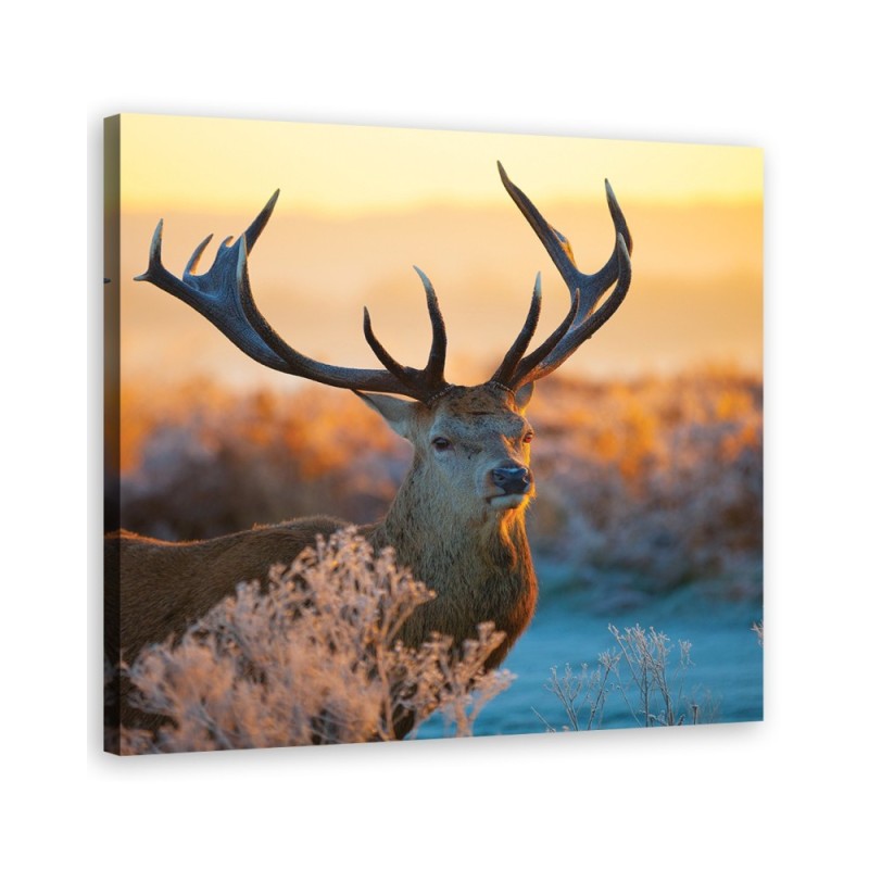 Canvas painting Deer sunrise | FEEBY