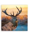 Canvas painting Deer sunrise | FEEBY