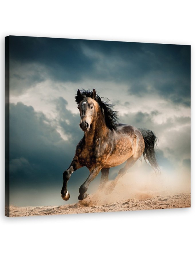Horse gallop - modern canvas print | FEEBY
