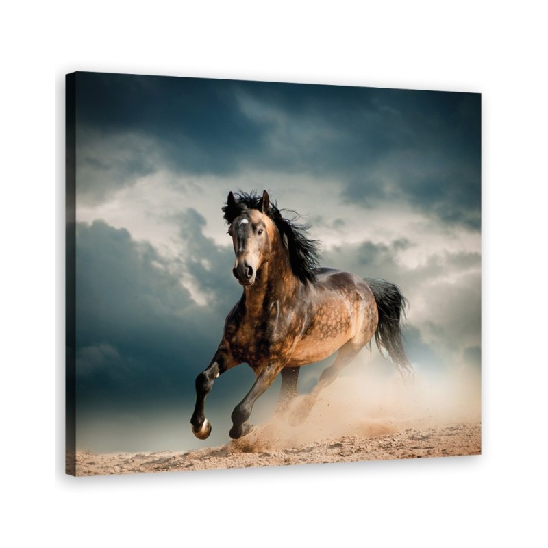 Horse gallop - modern canvas print | FEEBY