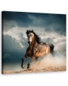 Horse gallop - modern canvas print | FEEBY