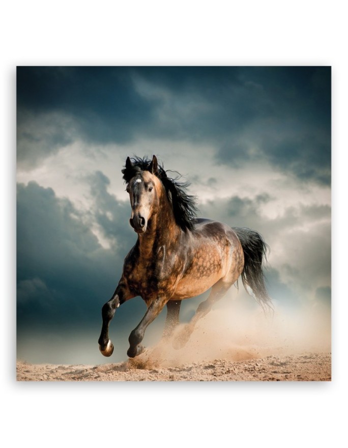 Horse gallop - modern canvas print | FEEBY
