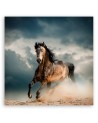 Horse gallop - modern canvas print | FEEBY
