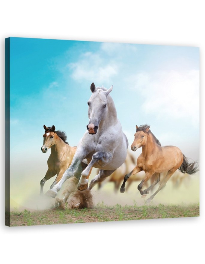 Canvas print Galloping horses