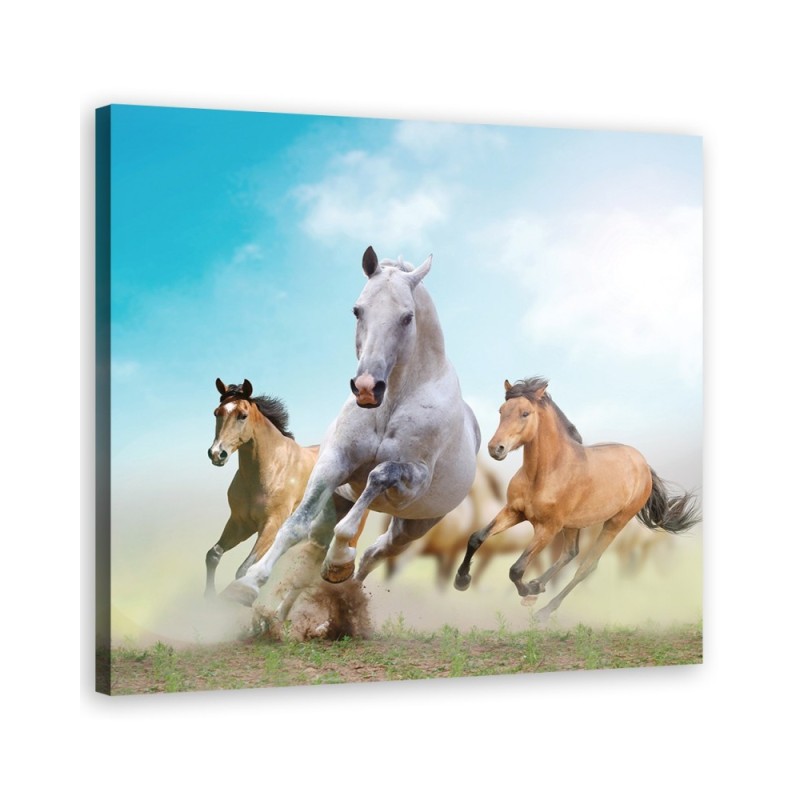 Modern Canvas painting for living room - Galloping horses | FEEBY