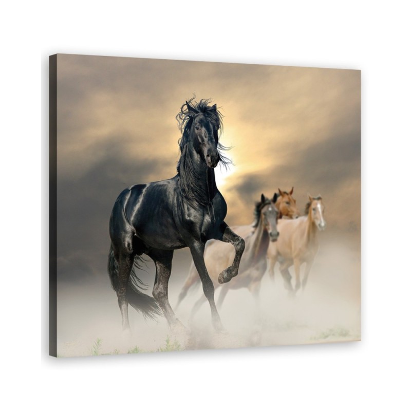 Herd of horses - decorative Canvas painting for bedroom | FEEBY