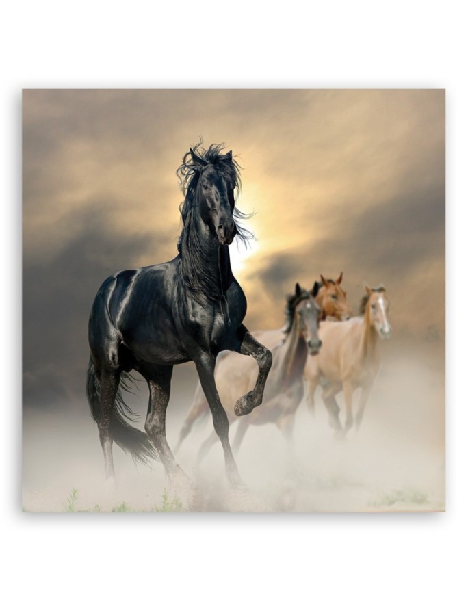 Herd of horses - decorative Canvas painting for bedroom | FEEBY