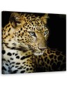 Canvas painting Majestic leopard | FEEBY