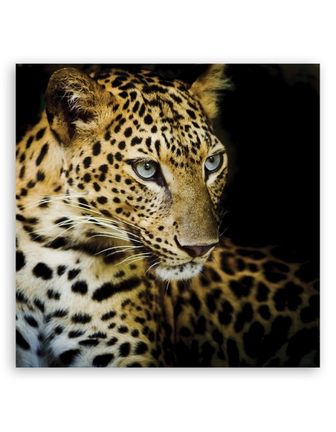 Canvas painting Majestic leopard | FEEBY