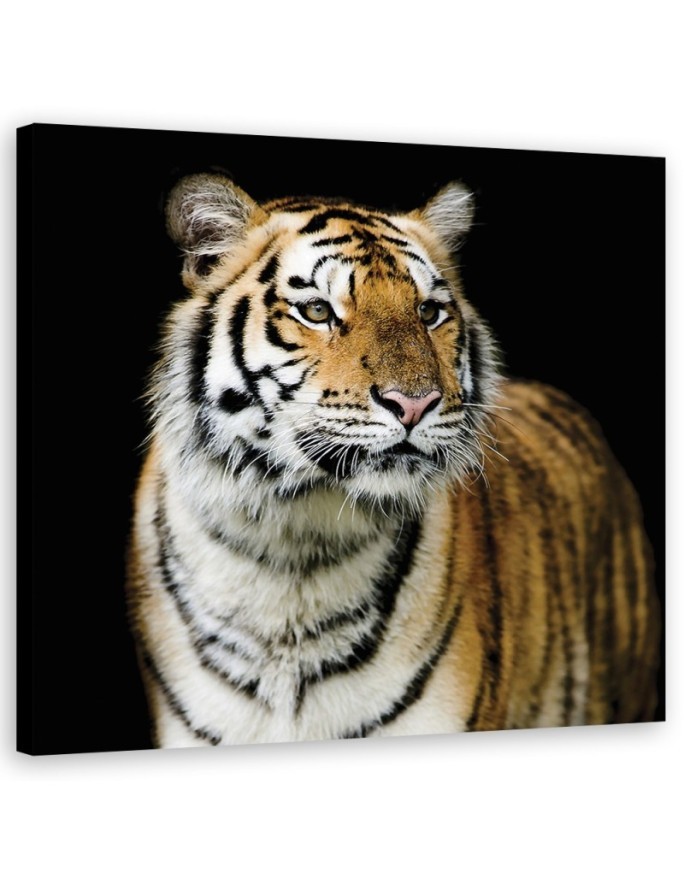 Canvas painting for the bedroom - Majestic tiger | FEEBY