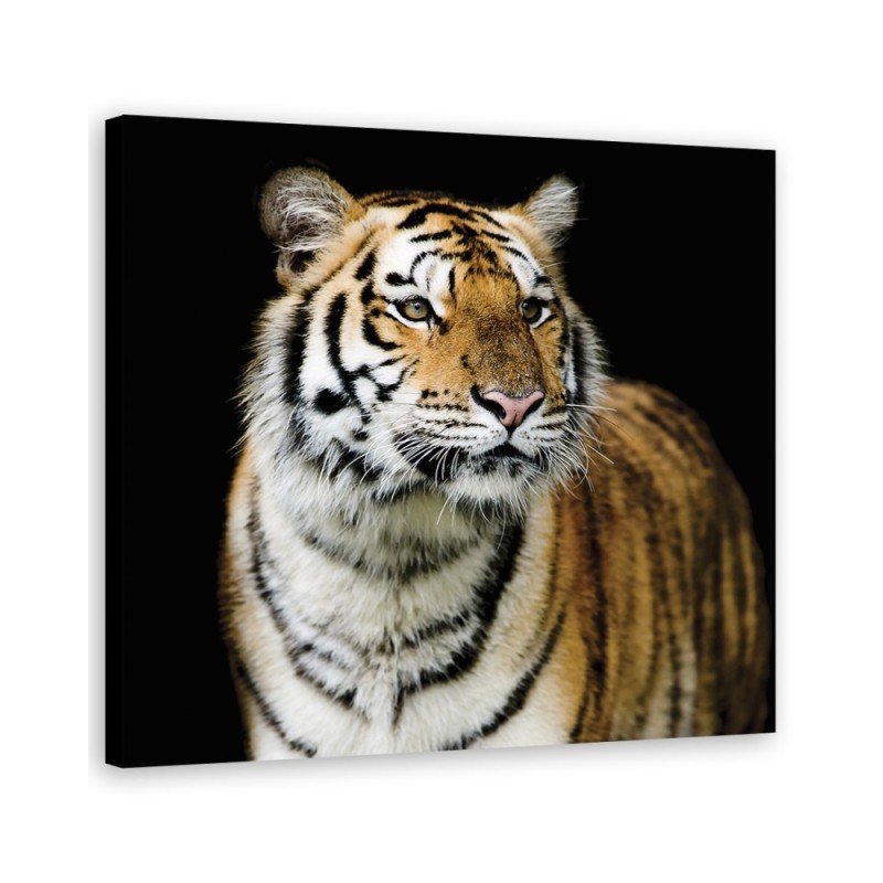 Canvas painting for the bedroom - Majestic tiger | FEEBY