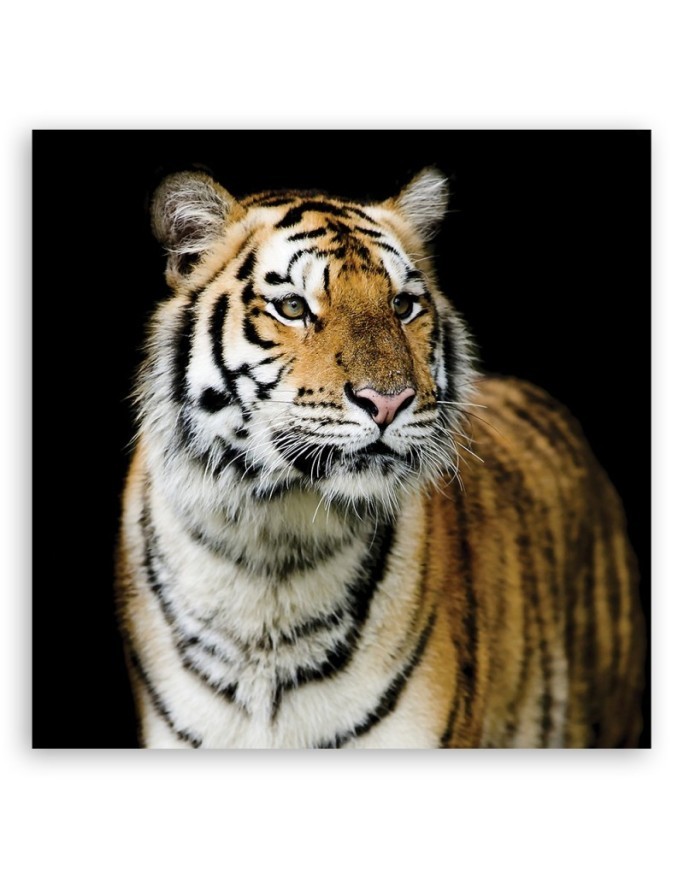 Canvas painting for the bedroom - Majestic tiger | FEEBY