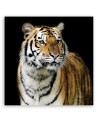 Canvas painting for the bedroom - Majestic tiger | FEEBY