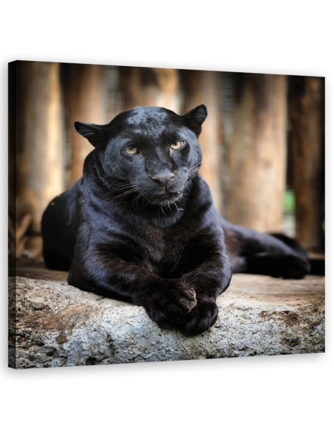 Black panther - Canvas painting | FEEBY
