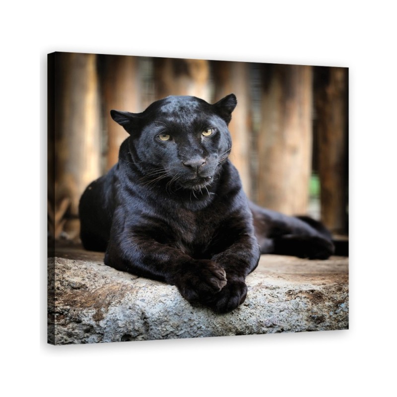 Black panther - Canvas painting | FEEBY