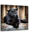 Black panther - Canvas painting | FEEBY