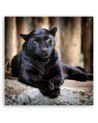 Black panther - Canvas painting | FEEBY