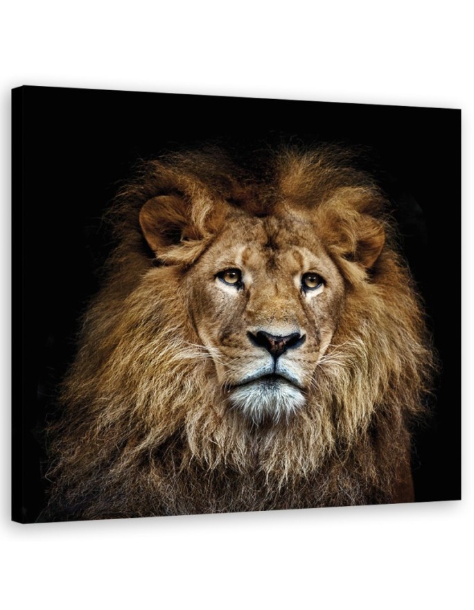 Canvas print Majestic lion