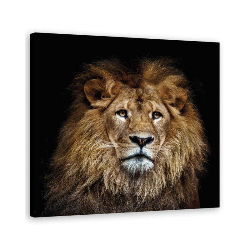 Decorative canvas painting - Majestic lion | FEEBY