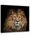 Decorative canvas painting - Majestic lion | FEEBY