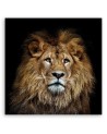 Decorative canvas painting - Majestic lion | FEEBY