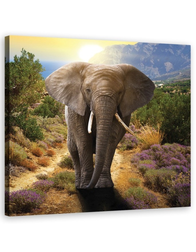 Canvas wall art decoration - Elephant at sunset | FEEBY