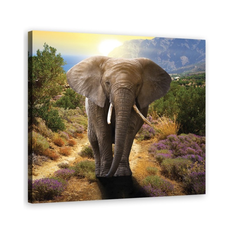 Canvas wall art decoration - Elephant at sunset | FEEBY