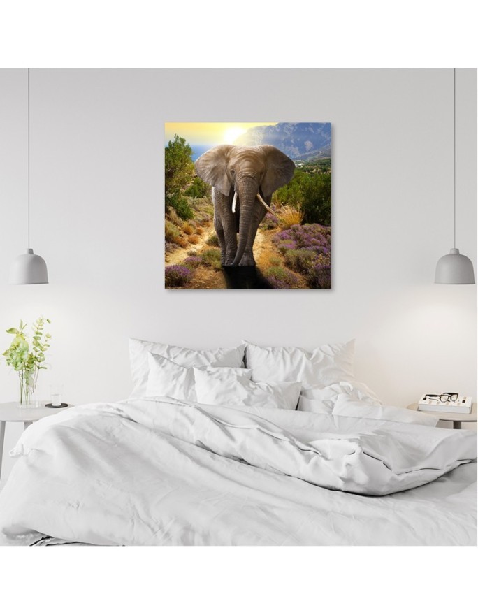 Canvas wall art decoration - Elephant at sunset | FEEBY
