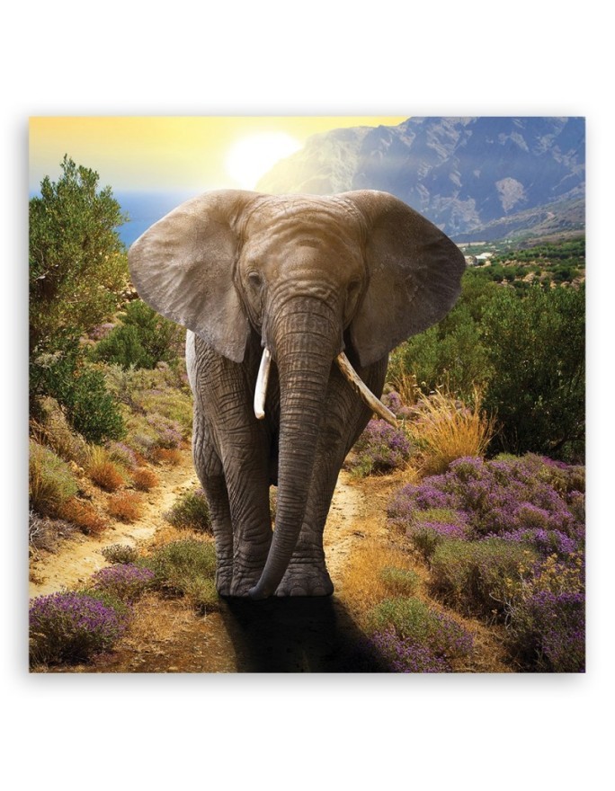 Canvas wall art decoration - Elephant at sunset | FEEBY