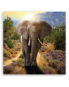 Canvas wall art decoration - Elephant at sunset | FEEBY