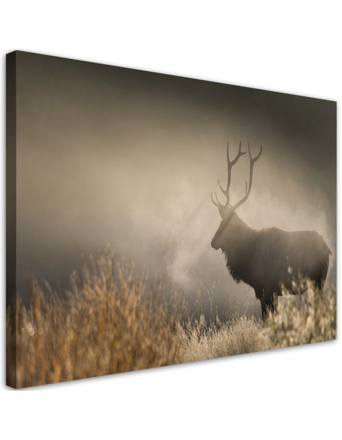 Canvas prints for living room canvas - Deer in the mist nature landscape | FEEBY
