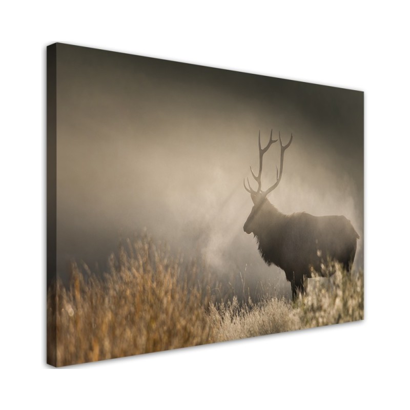 Canvas prints for living room canvas - Deer in the mist nature landscape | FEEBY