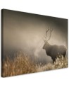 Canvas prints for living room canvas - Deer in the mist nature landscape | FEEBY