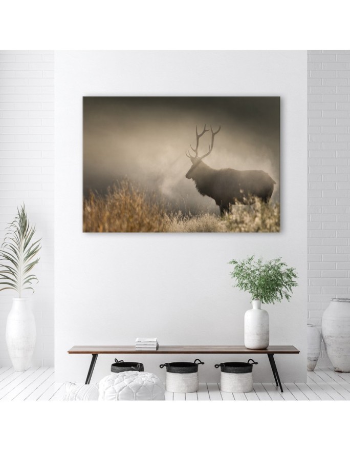 Canvas prints for living room canvas - Deer in the mist nature landscape | FEEBY