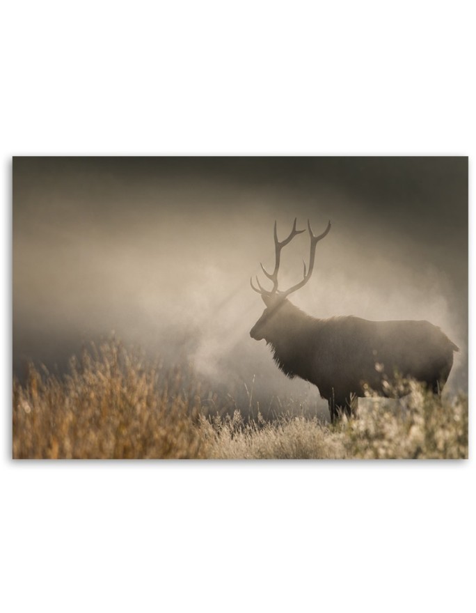 Canvas prints for living room canvas - Deer in the mist nature landscape | FEEBY