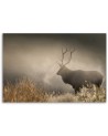 Canvas prints for living room canvas - Deer in the mist nature landscape | FEEBY