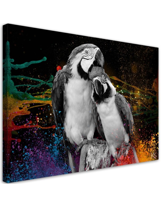 Canvas print Colourful...