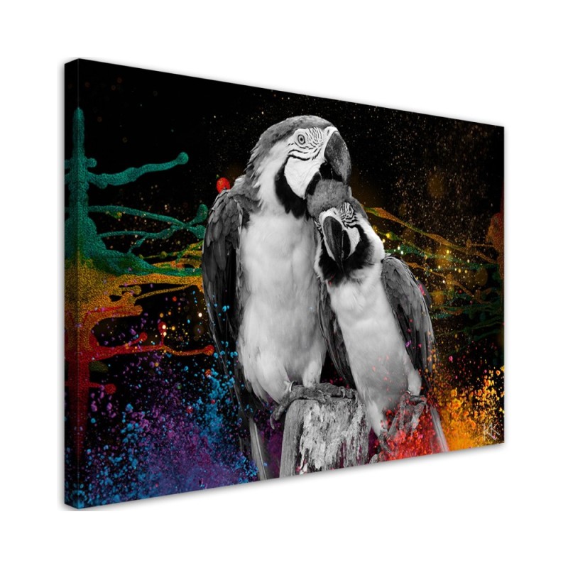 Colourful parrots abstract canvas wall art decoration | FEEBY