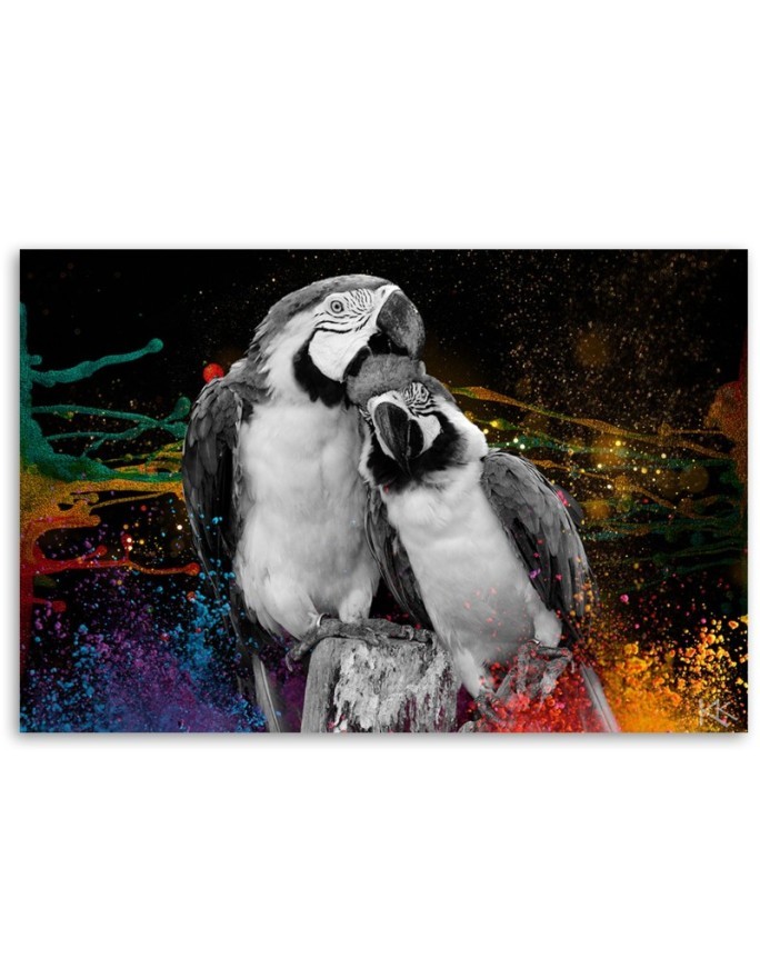 Colourful parrots abstract canvas wall art decoration | FEEBY